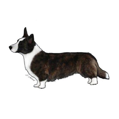 Cardigan Welsh Corgi (Design 3) - Printed Transfer Sheets for a variety of surfaces - image1